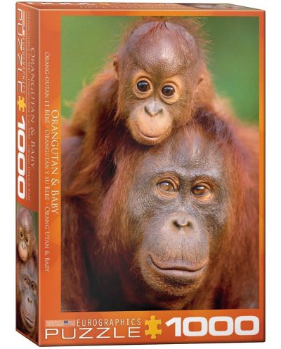 Пъзел Eurographics от 1000 части – Майка и бебе орангутани - 1