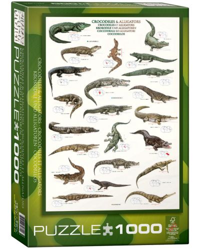 Пъзел Eurographics от 1000 части – Крокодили и Алигатори - 1