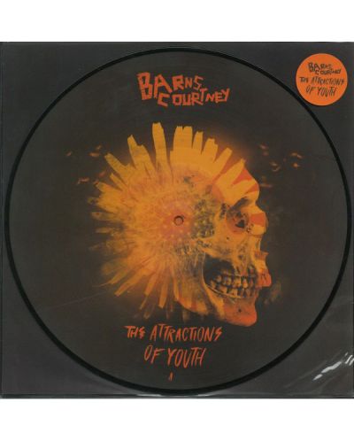 Barns Courtney - The Attractions Of Youth (Vinyl)