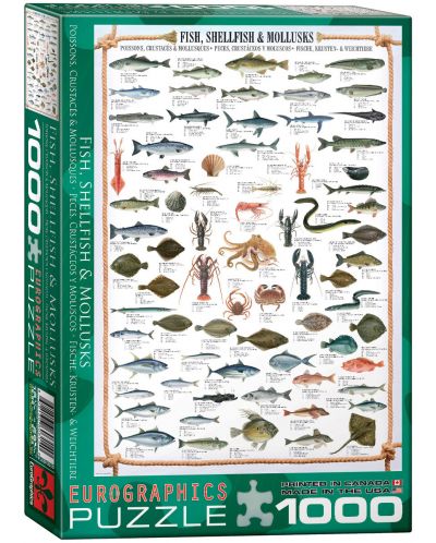 Пъзел Eurographics от 1000 части – Риба, миди и мекотели - 1