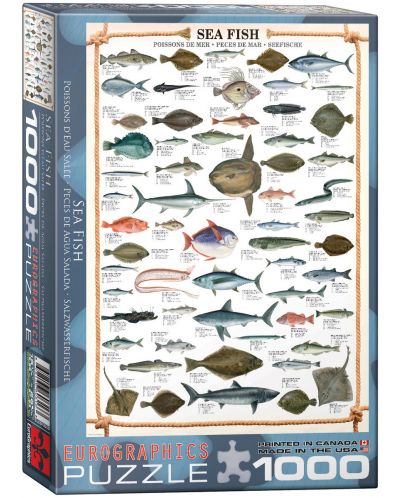 Пъзел Eurographics от 1000 части –  Морска риба - 1