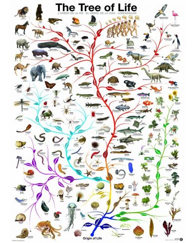 Пъзел Eurographics от 1000 части - Еволюция, Дървото на живота - 2