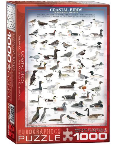 Пъзел Eurographics от 1000 части – Птици по крайбрежието - 1
