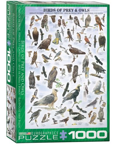 Пъзел Eurographics от 1000 части –  Грабливи птици и сови - 1