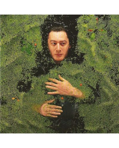 Alain Bashung - Fantaisie Militaire (2 CD)
