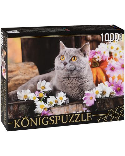 Пъзел Königspuzzle от 1000 части - Британска котка - 1