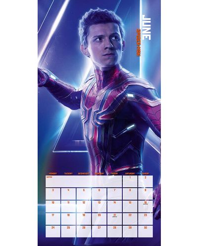 Стенен Календар Danilo 2019 - Avengers Infinity War - 3