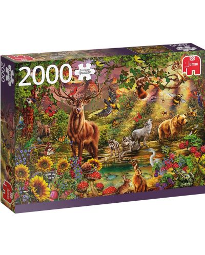 Пъзел Jumbo от 2000 части - Магическа гора на залез