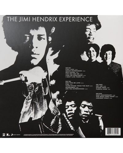 Jimi Hendrix - Are You Experienced (2 Vinyl) - 2