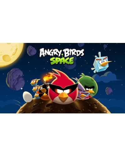 Angry Birds: Space (PC) - 3