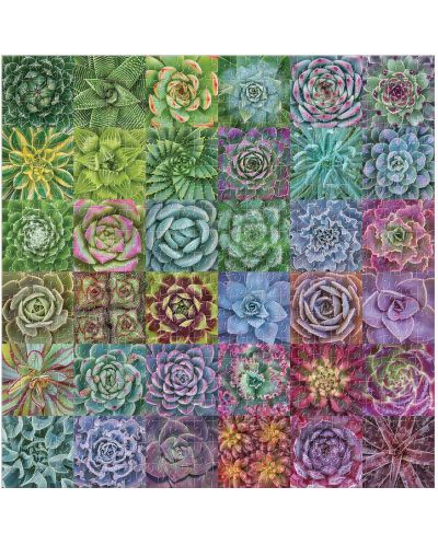 Пъзел Galison от 500 части - Различните цветове на кактусите - 3