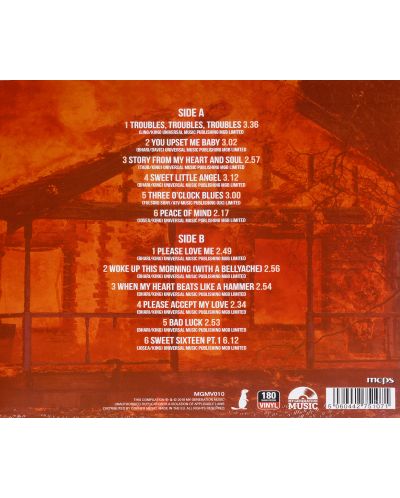 B.B. King - Mississippi Burning (Vinyl) - 2