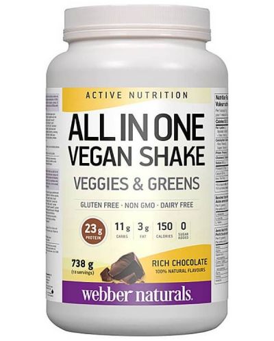 Active Nutrition All in One Vegan Shake, шоколад, 738 g, Webber Naturals - 1