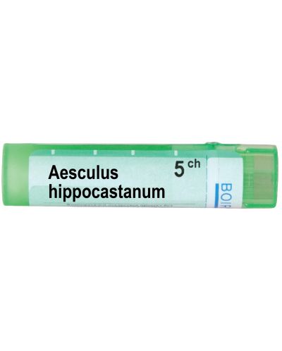 Aesculus hippocastanum 5CH, Boiron - 1