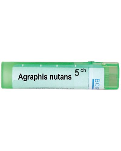 Agraphis nutans 5CH, Boiron - 1