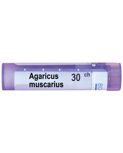 Agaricus muscarius 30CH, Boiron - 1