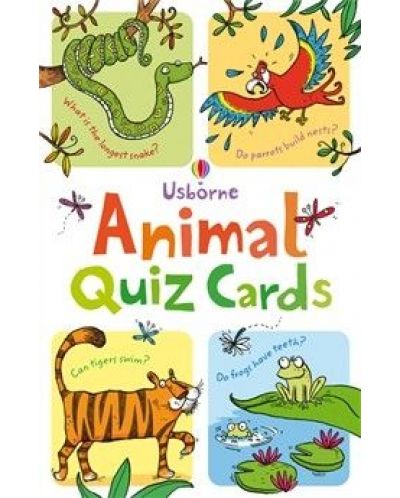 Animal Quiz Cards