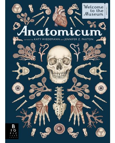 Anatomicum - 1