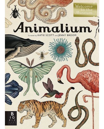 Animalium - 1