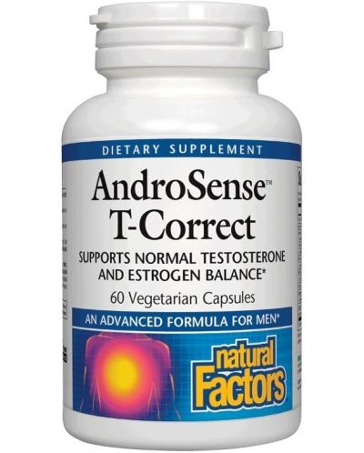 AndroSense T-Correct, 60 капсули, Natural Factors - 1