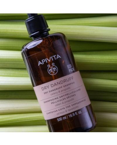 Apivita Шампоан против сух пърхот, 500 ml - 2