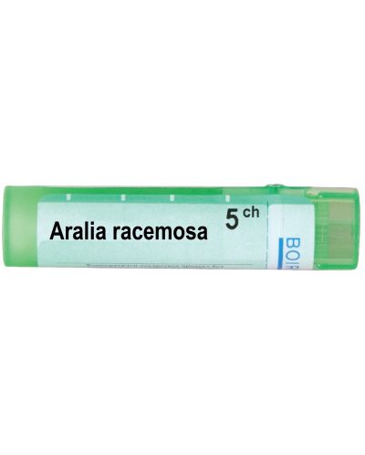 Aralia racemosa 5CH, Boiron - 1