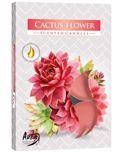 Ароматни чаени свещи Bispol Aura - Cactus Flower, 6 броя - 1