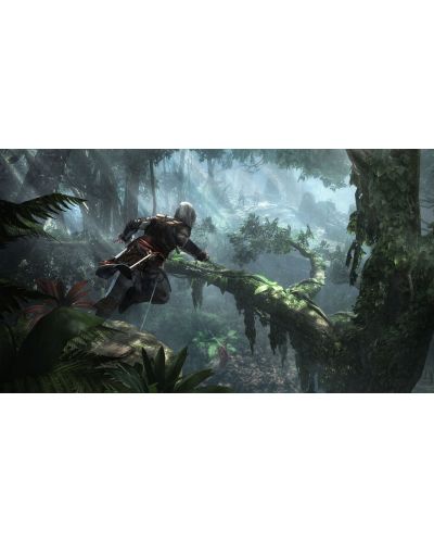 Assassin's Creed IV: Black Flag - Jackdaw Edition (PS4) - 13