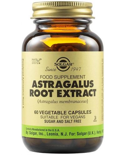 Astragalus Root Extract, 60 растителни капсули, Solgar - 1
