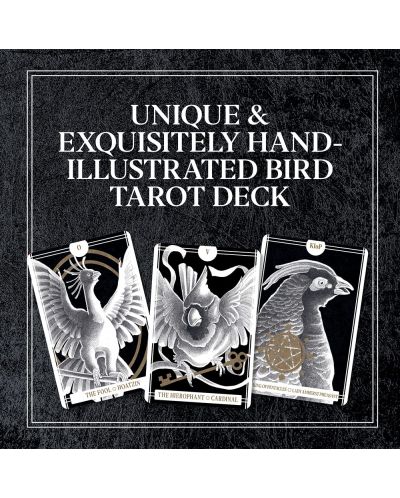 Avian Tarot (78-Card Deck and Guidebook) - 2