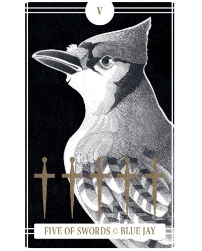 Avian Tarot (78-Card Deck and Guidebook) - 5