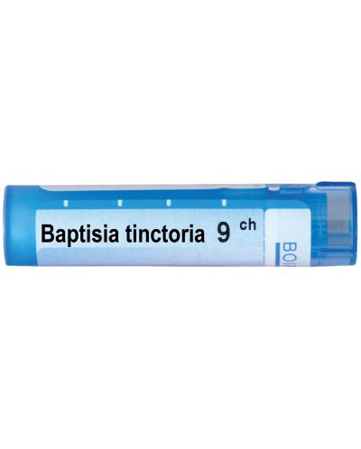 Baptisia tinctoria 9CH, Boiron - 1