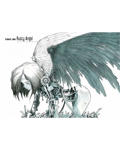 Battle Angel Alita: Deluxe Edition, Vol. 1 - 5