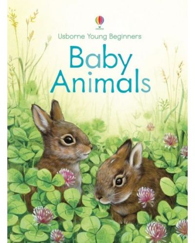 Baby Animals