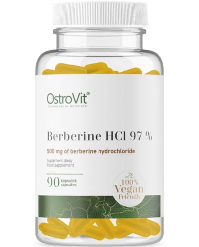 Berberine HCl 97%, 90 капсули, OstroVit - 1