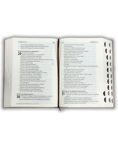 Библия (едър шрифт) - 2
