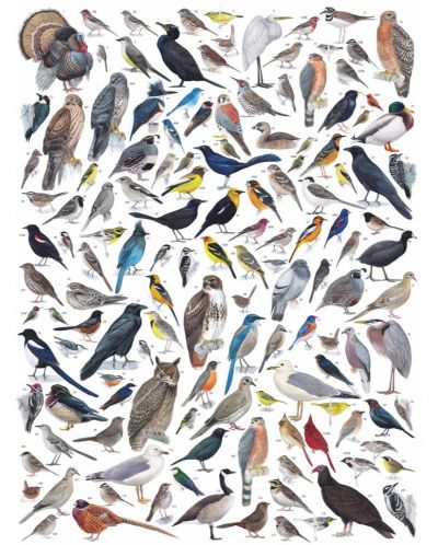 Пъзел New York Puzzle от 1000 части - Птици от западна Северна Америка - 1