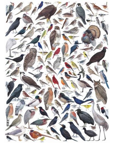 Пъзел New York Puzzle от 1000 части - Птици от източна и централна Северна Америка - 1