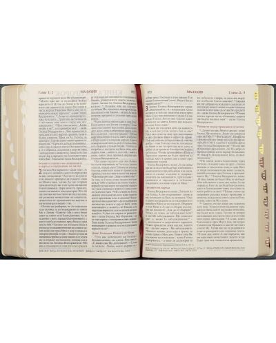Библия (голям формат, зелена твърда корица) - 4