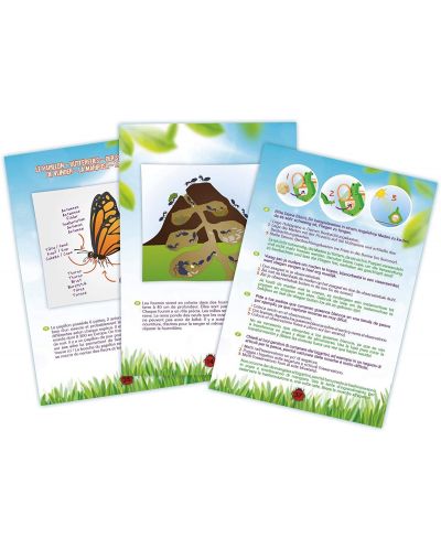 Изследователски комплект Buki Nature - Изследване на насекоми - 4