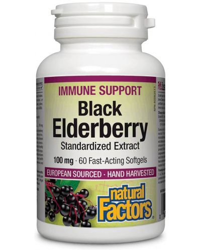 Black Elderberry Standardized Extract, 100 mg, 60 софтгел капсули, Natural Factors - 1