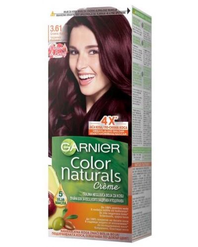 Garnier Color Naturals Crème Боя за коса, Нежна къпина, 3.61 - 1