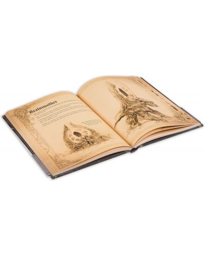 Book of Adria: A Diablo Bestiary (UK edition)-6 - 7