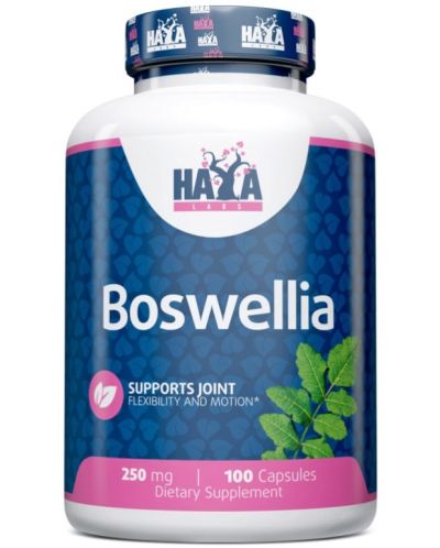 Boswellia, 250 mg, 100 капсули, Haya Labs - 1
