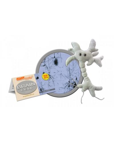 Плюшена играчка Мозъчна клетка (neuron) - 2