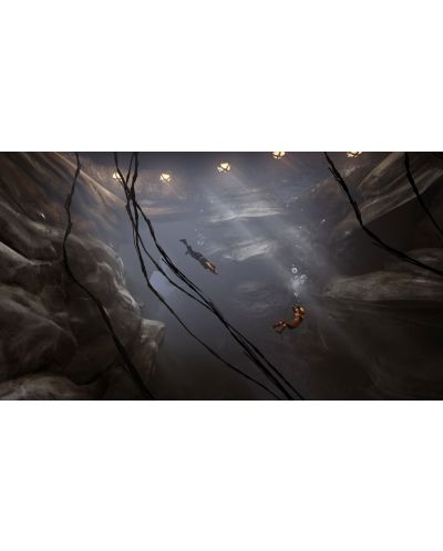 Brothers : A Tale of Two Sons (PS4) - 5