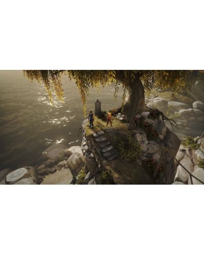 Brothers : A Tale of Two Sons (PS4) - 9