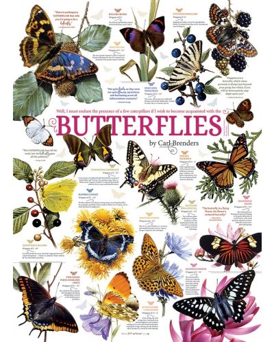 Пъзел Cobble Hill от 1000 части - Колекция пеперуди, Карл Брендърс - 2