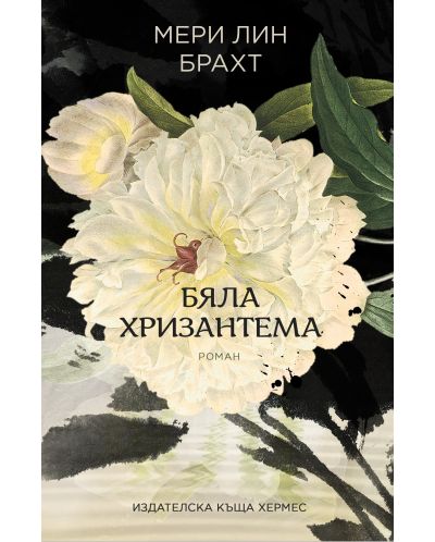 Бяла хризантема - 1