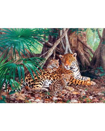 Пъзел Castorland от 3000 части - Ягуари в джунглата - 2